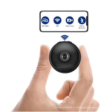 Mini caméra vidéo sans fil d&#39;espion de Wifi de capteur de mouvement cachée avec le système de surveillance en ligne